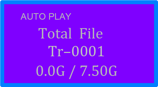 auto play Total file