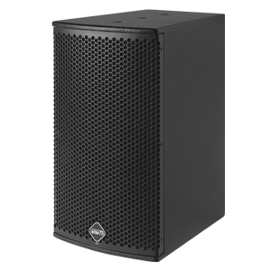img_Двухполосная акустическая система MS-100